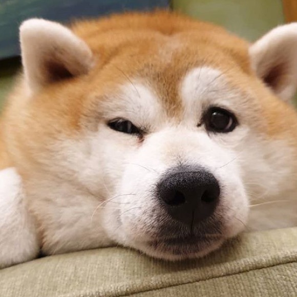 Meet your Posher, Jen - Picture 1 of 1